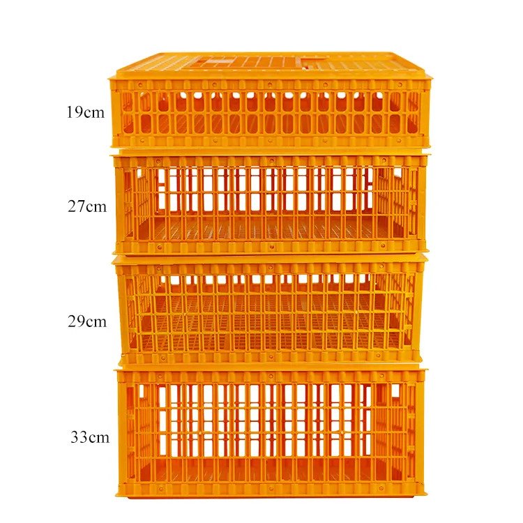 ezgif.com-webp-to-jpg (5)